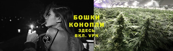 первитин Гусев