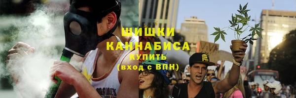 первитин Гусев