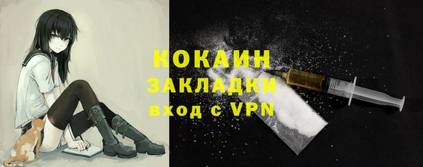 первитин Гусев