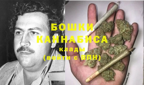 первитин Гусев