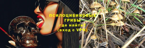 первитин Гусь-Хрустальный