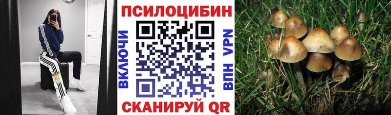 darknet какой сайт  Чулым  Псилоцибиновые грибы прущие грибы 
